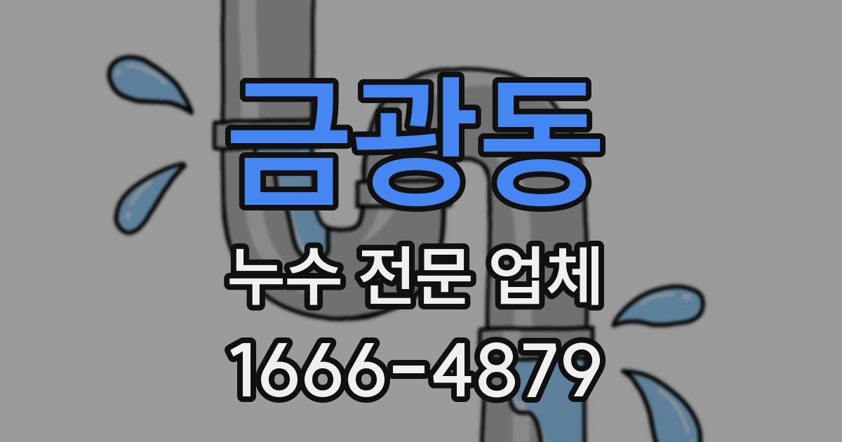 금광동 누수 전문 업체