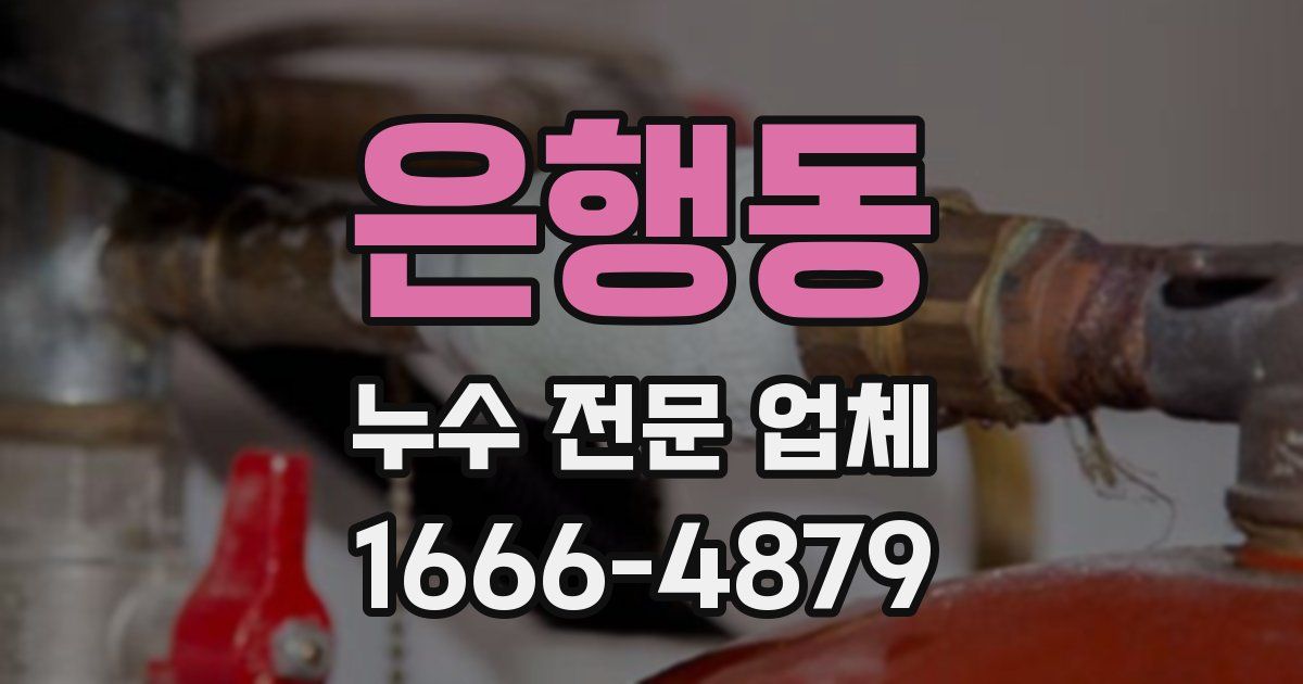 은행동 누수 전문 업체