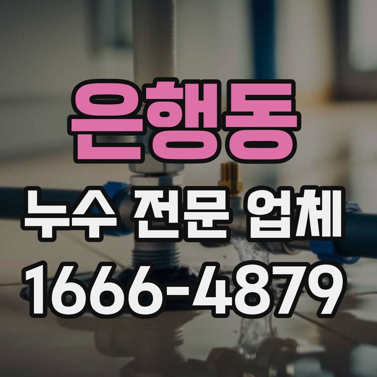 은행동 누수 전문 업체