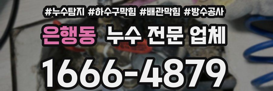 은행동 누수 전문 업체
