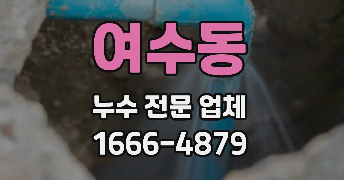 여수동 누수 전문 업체