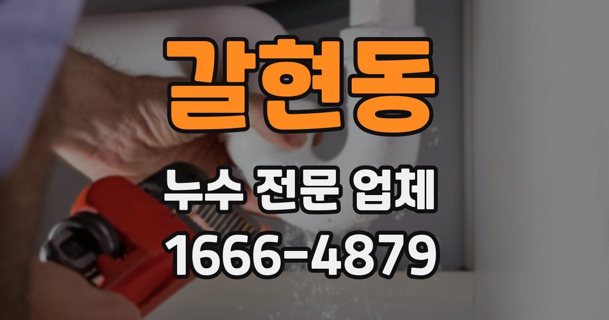 갈현동 누수 전문 업체
