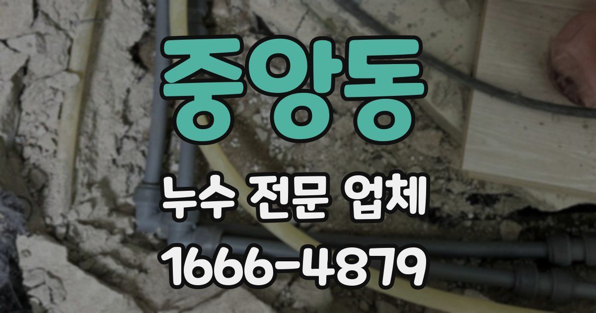 중앙동 누수 전문 업체