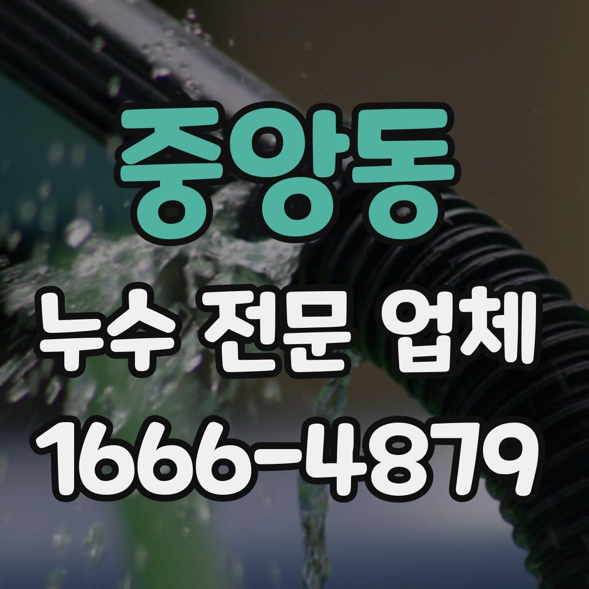 중앙동 누수 전문 업체