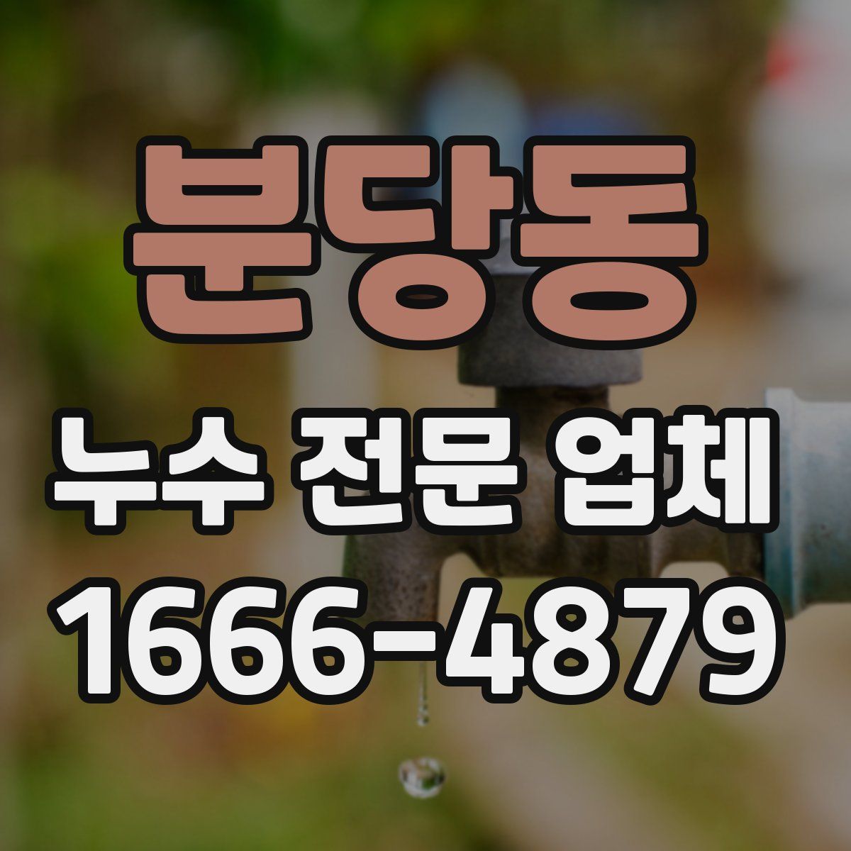 분당동 누수 전문 업체