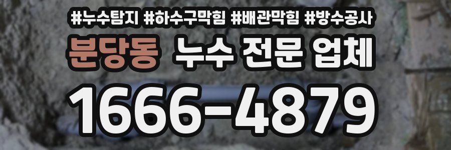 분당동 누수 전문 업체