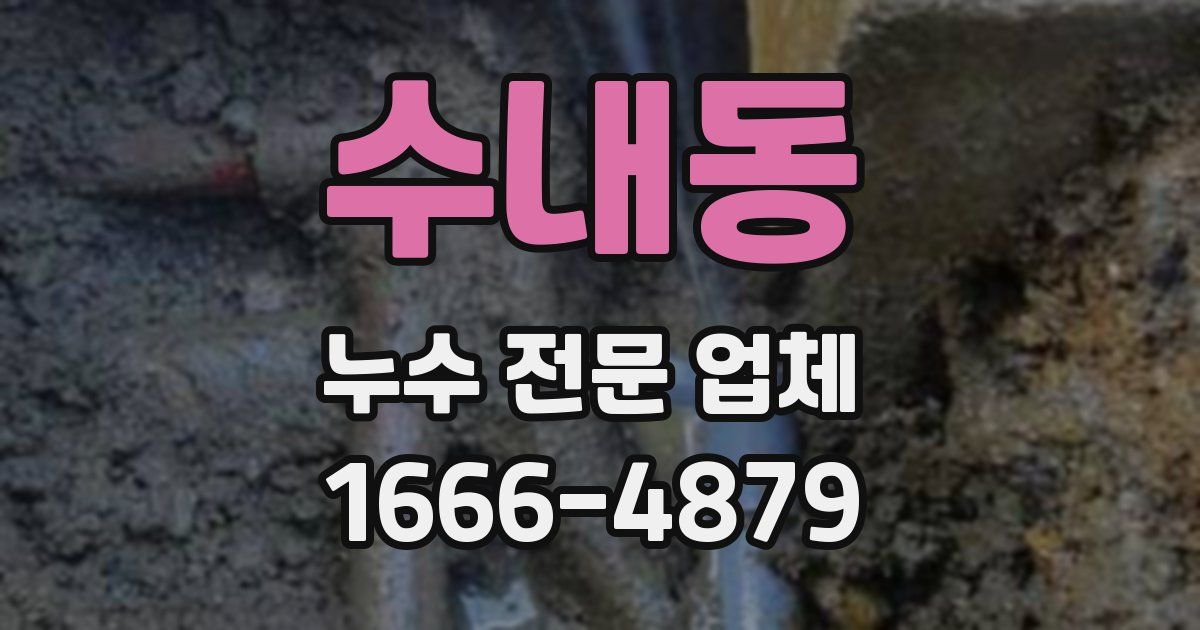 수내동 누수 전문 업체