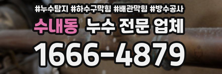 수내동 누수 전문 업체