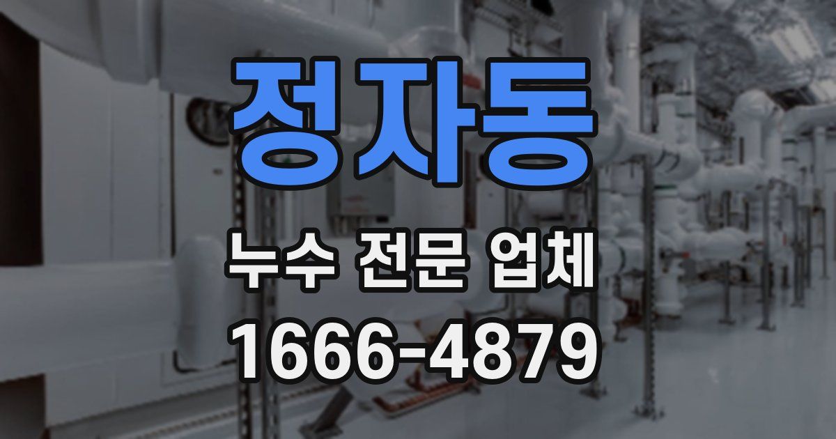 정자동 누수 전문 업체