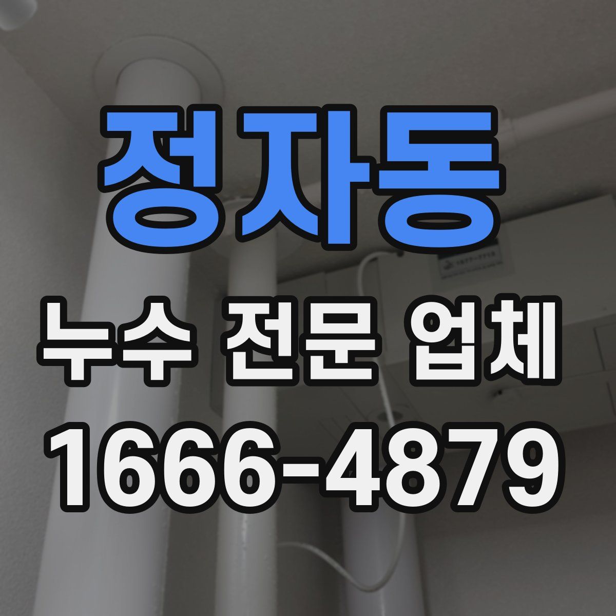 정자동 누수 전문 업체