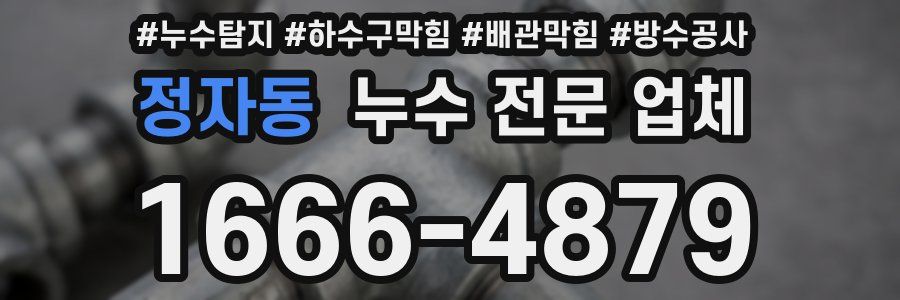 정자동 누수 전문 업체