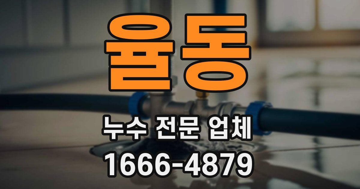 율동 누수 전문 업체