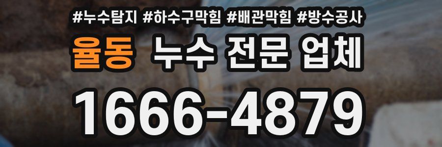 율동 누수 전문 업체
