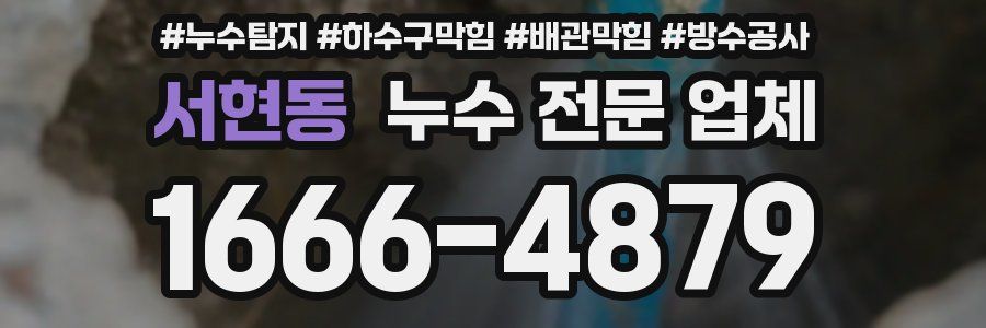 서현동 누수 전문 업체