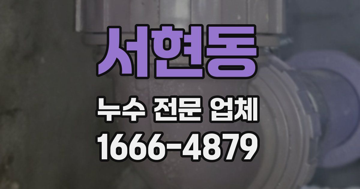 서현동 누수 전문 업체