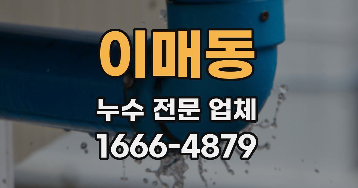 이매동 누수 전문 업체