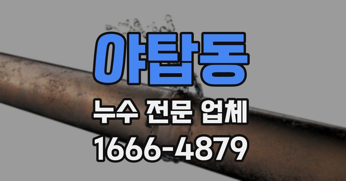 야탑동 누수 전문 업체