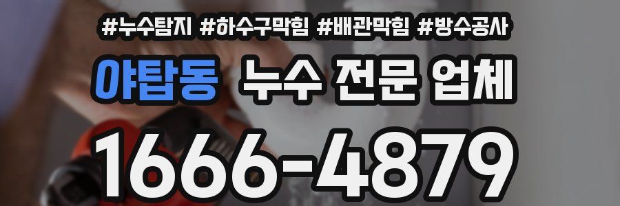 야탑동 누수 전문 업체