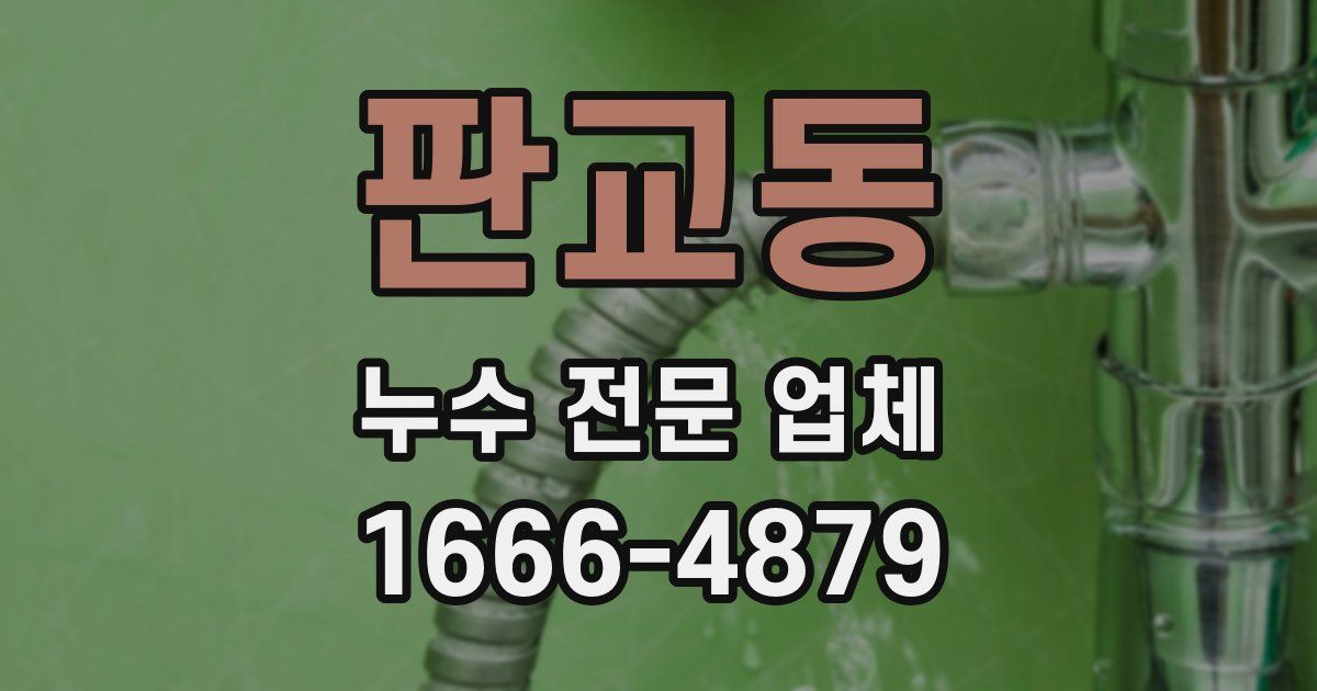 판교동 누수 전문 업체
