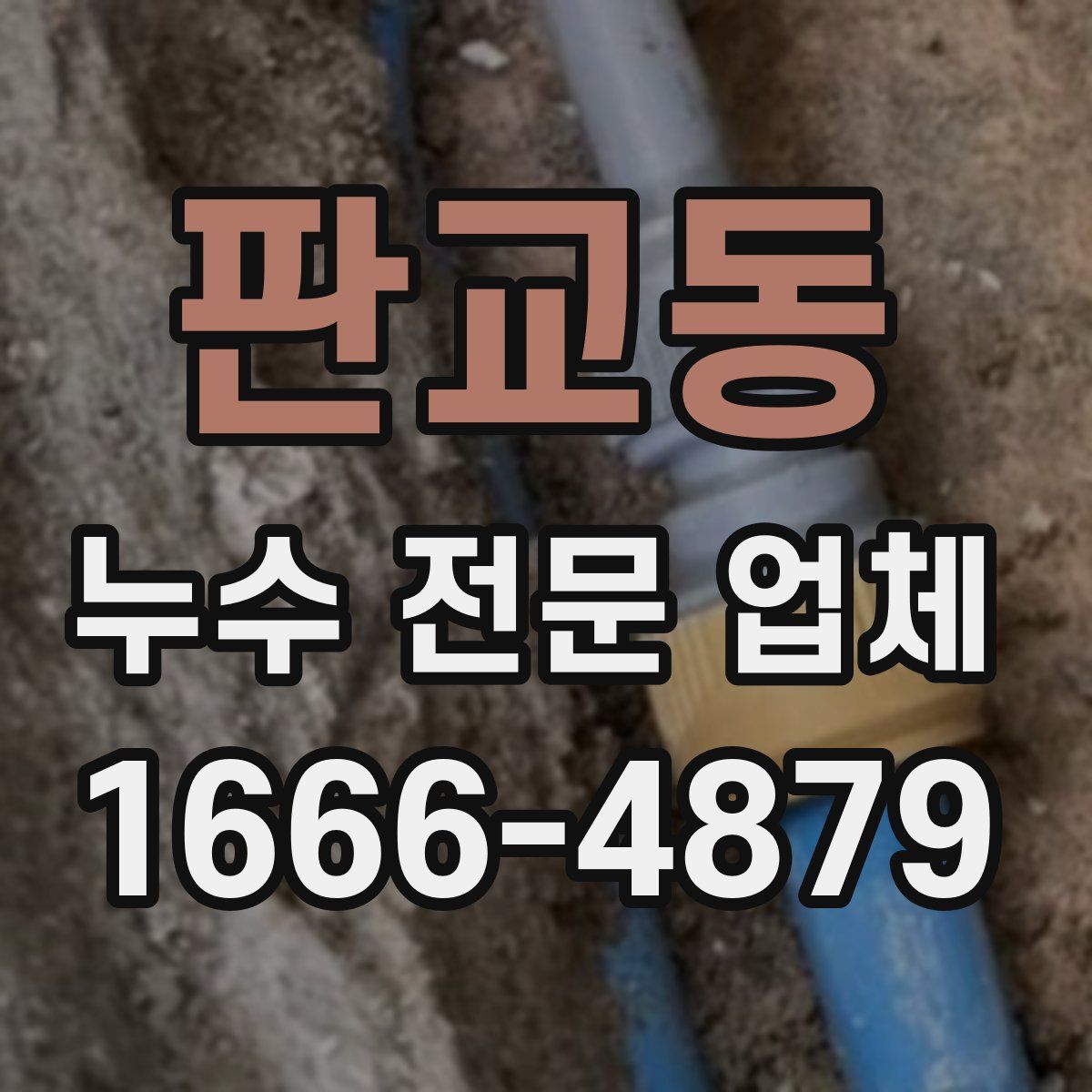 판교동 누수 전문 업체