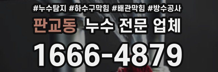 판교동 누수 전문 업체