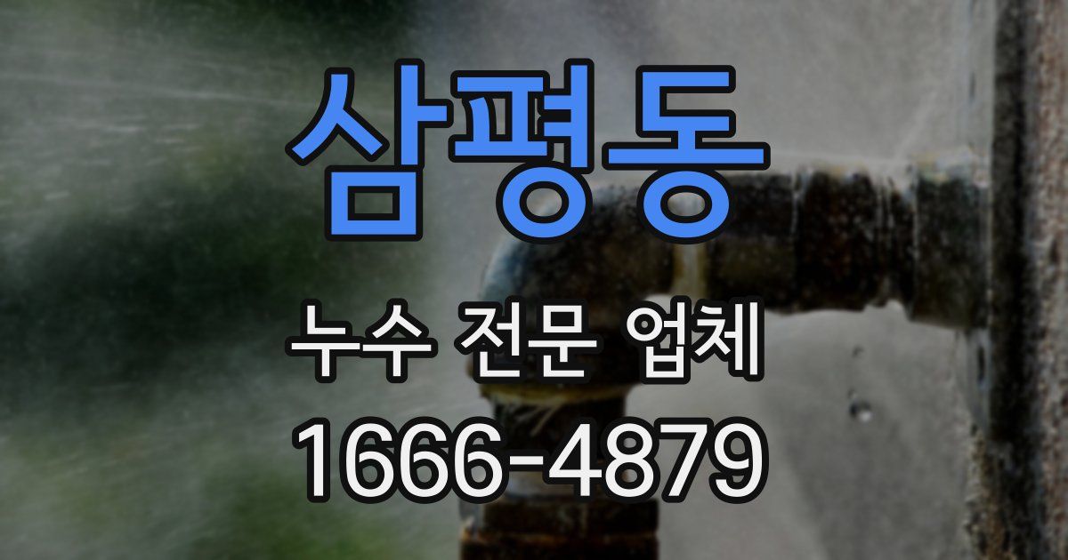 삼평동 누수 전문 업체