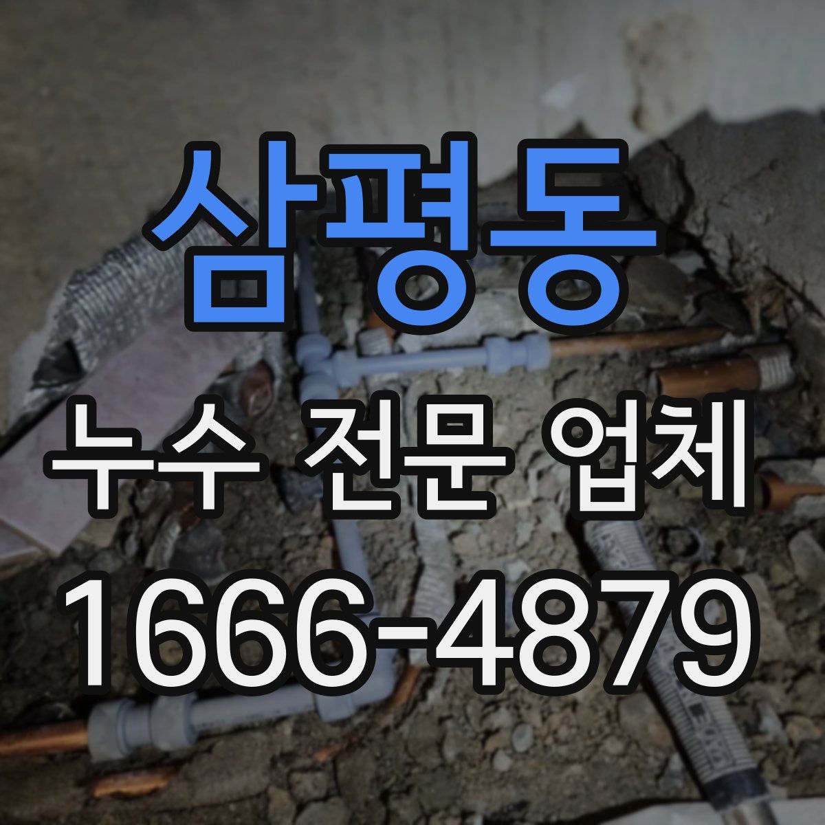 삼평동 누수 전문 업체