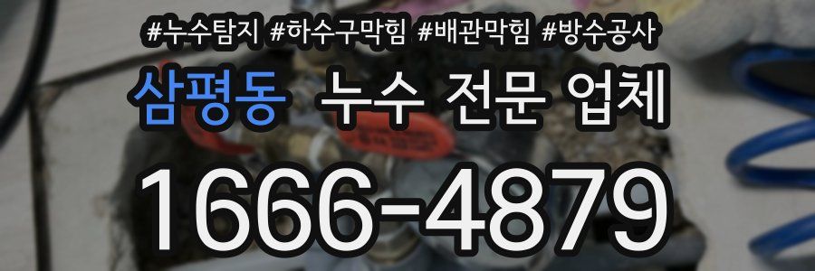 삼평동 누수 전문 업체