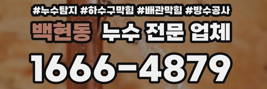 백현동 누수 전문 업체