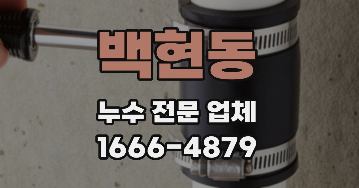 백현동 누수 전문 업체