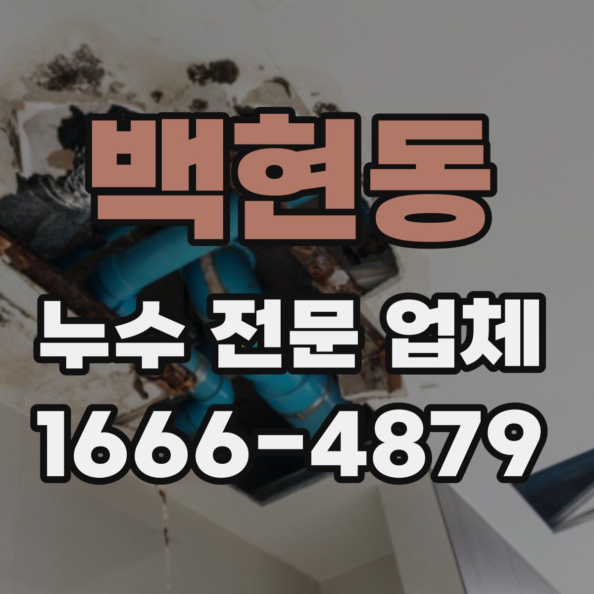 백현동 누수 전문 업체