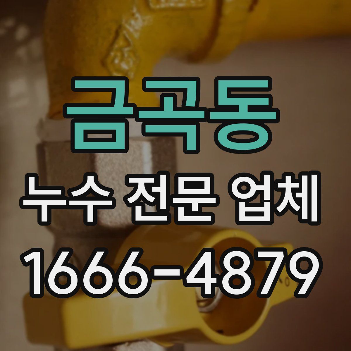 금곡동 누수 전문 업체
