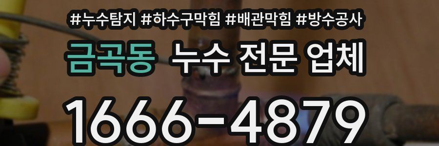 금곡동 누수 전문 업체