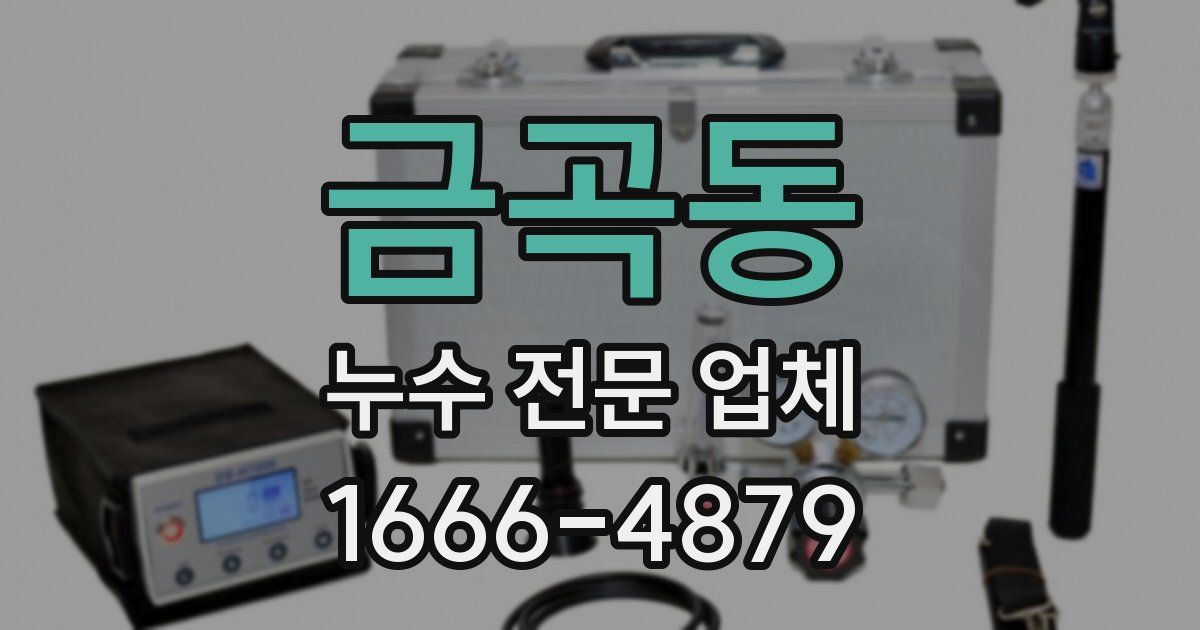금곡동 누수 전문 업체