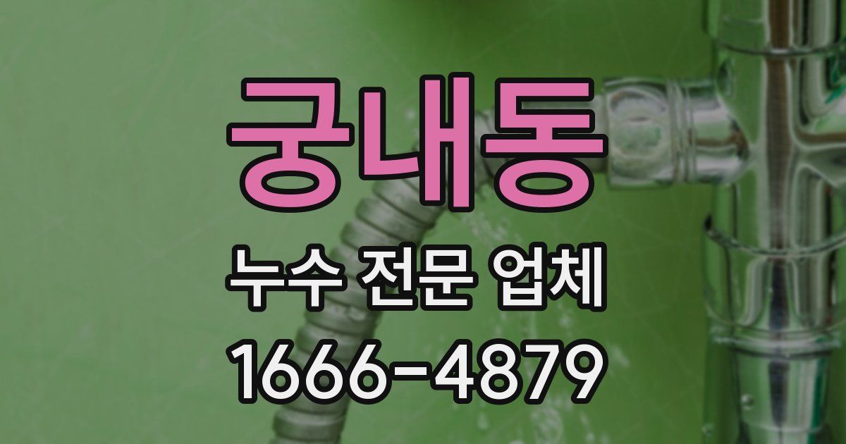 궁내동 누수 전문 업체