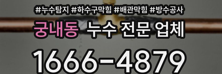 궁내동 누수 전문 업체
