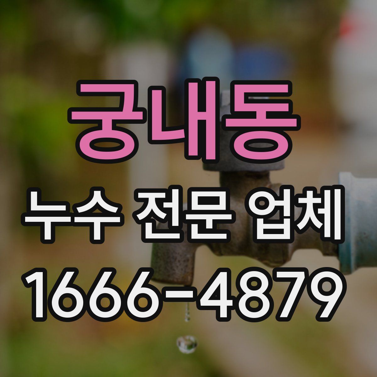 궁내동 누수 전문 업체