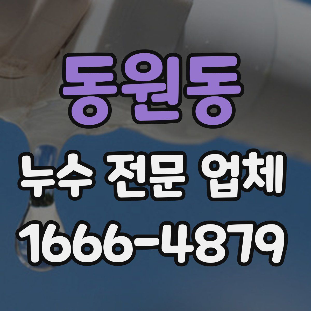 동원동 누수 전문 업체