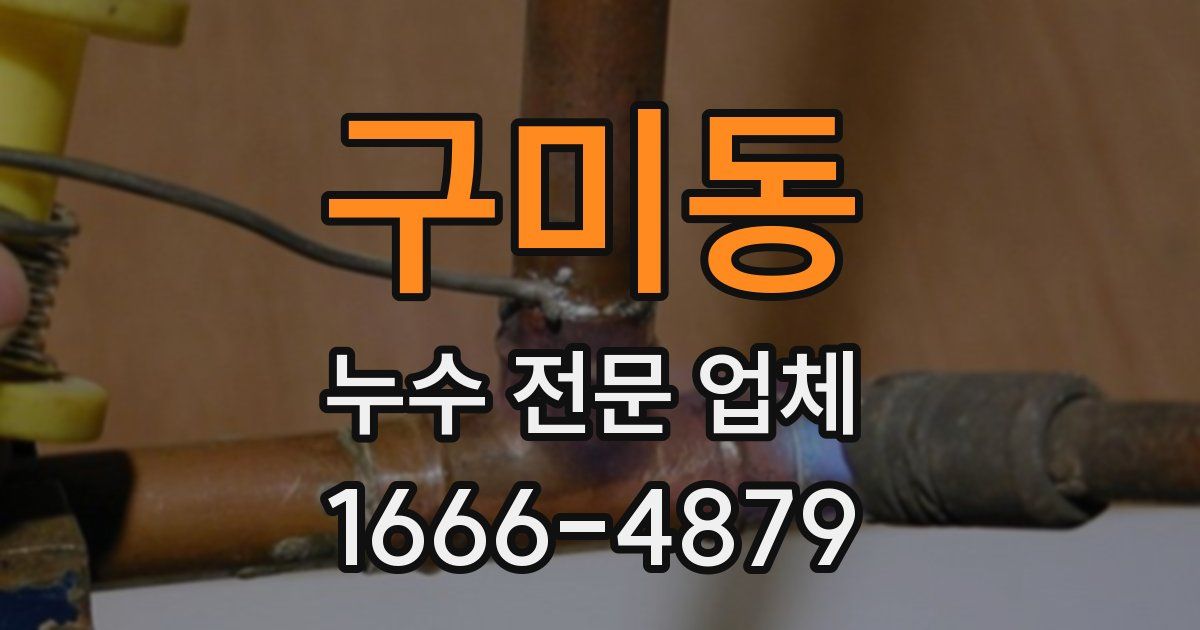 구미동 누수 전문 업체