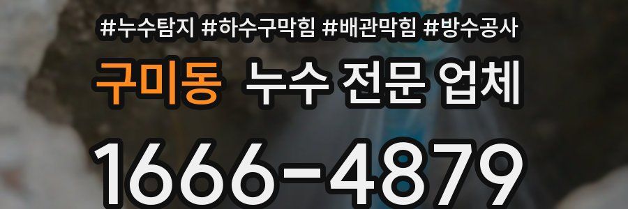 구미동 누수 전문 업체