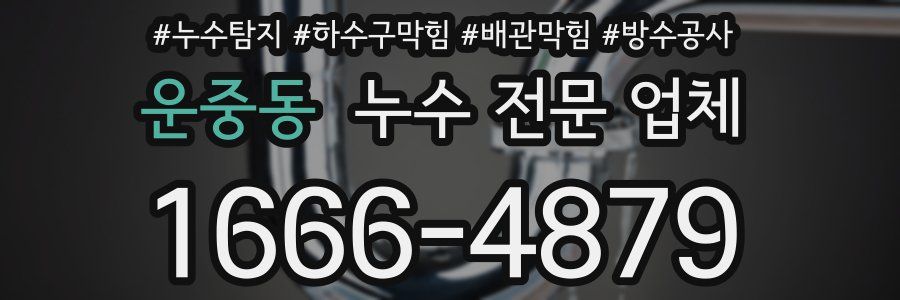 운중동 누수 전문 업체