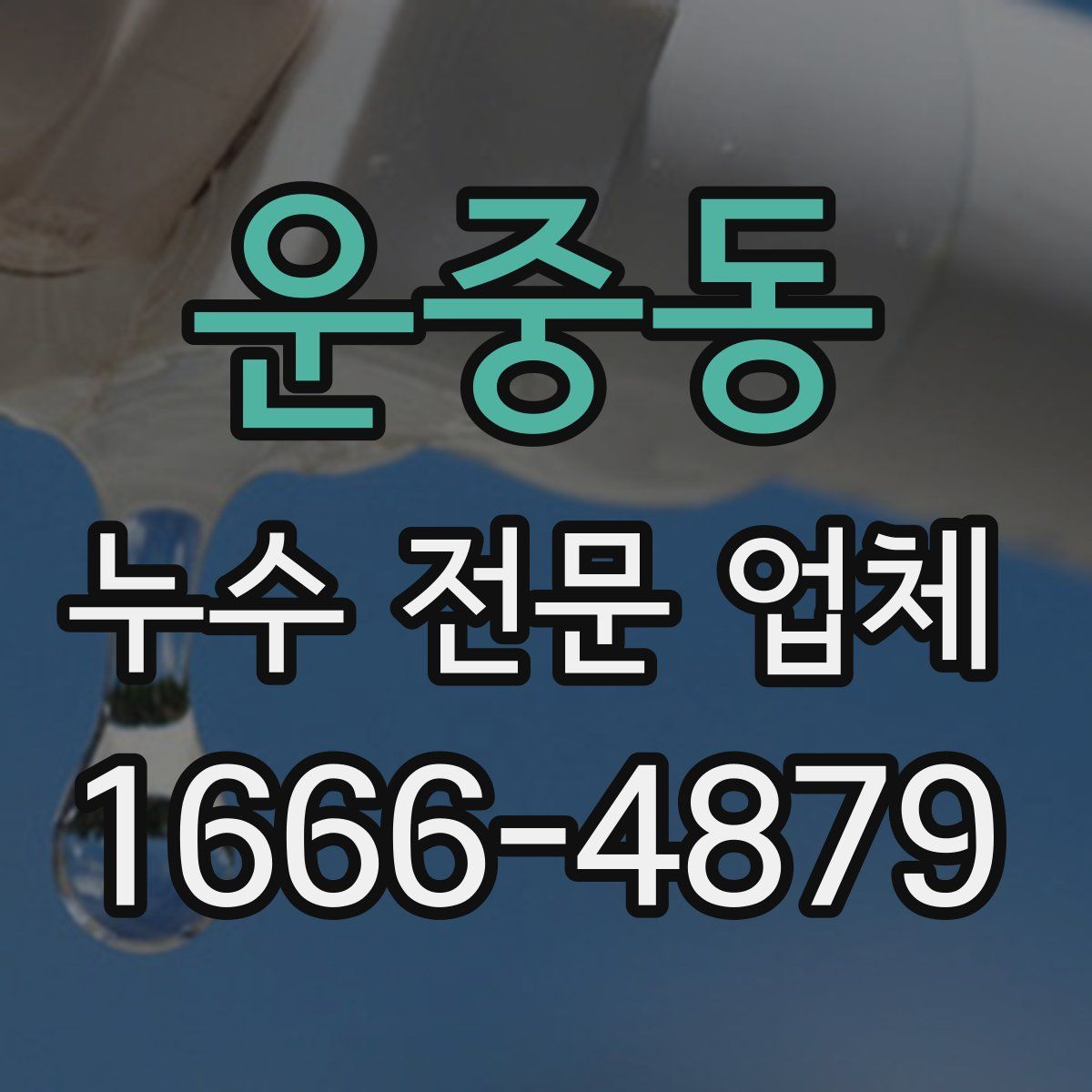 운중동 누수 전문 업체