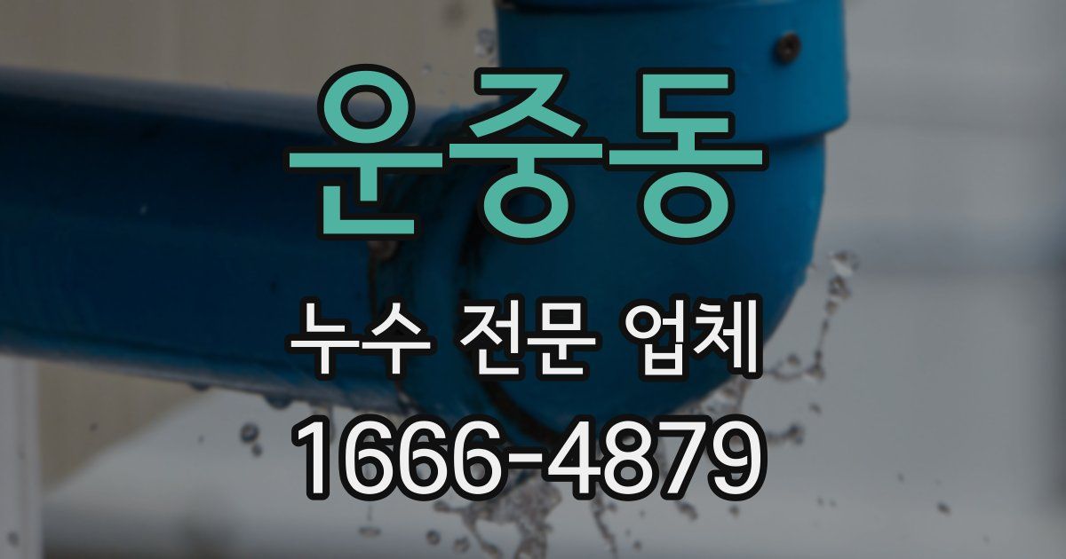 운중동 누수 전문 업체