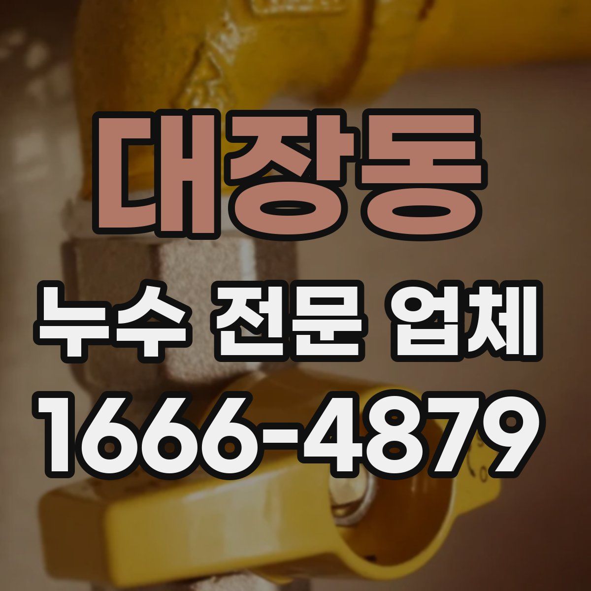 대장동 누수 전문 업체
