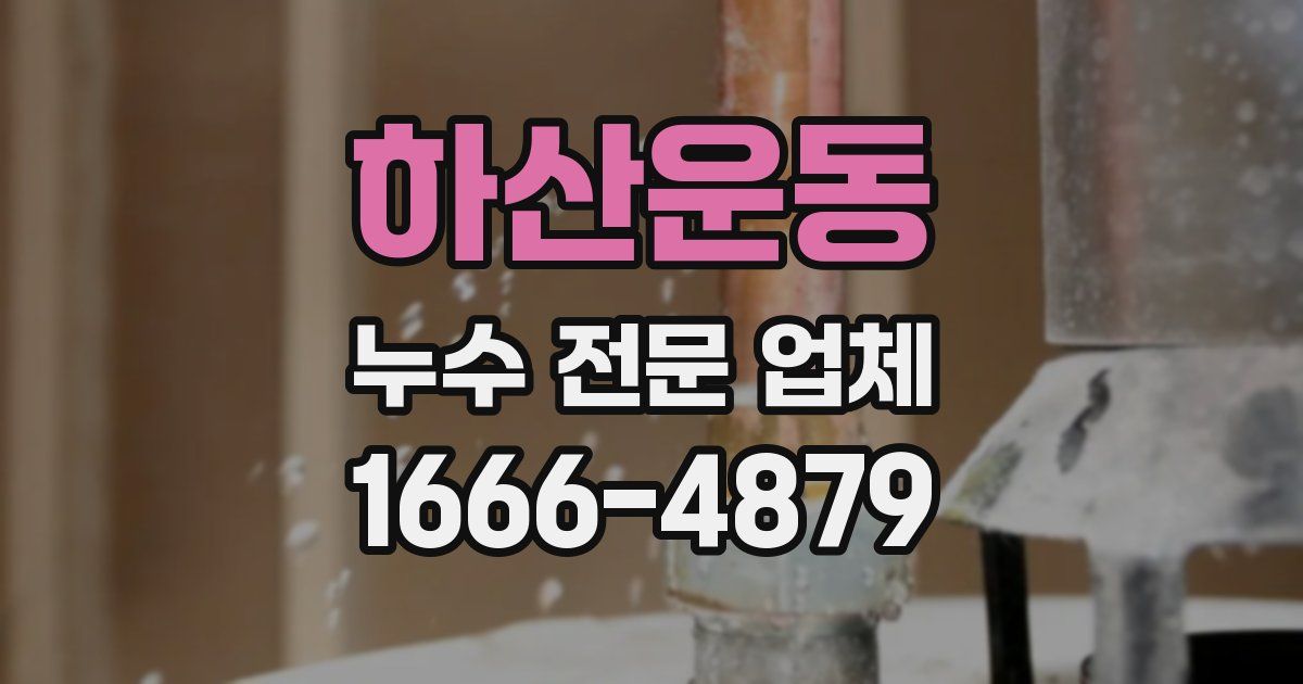 하산운동 누수 전문 업체
