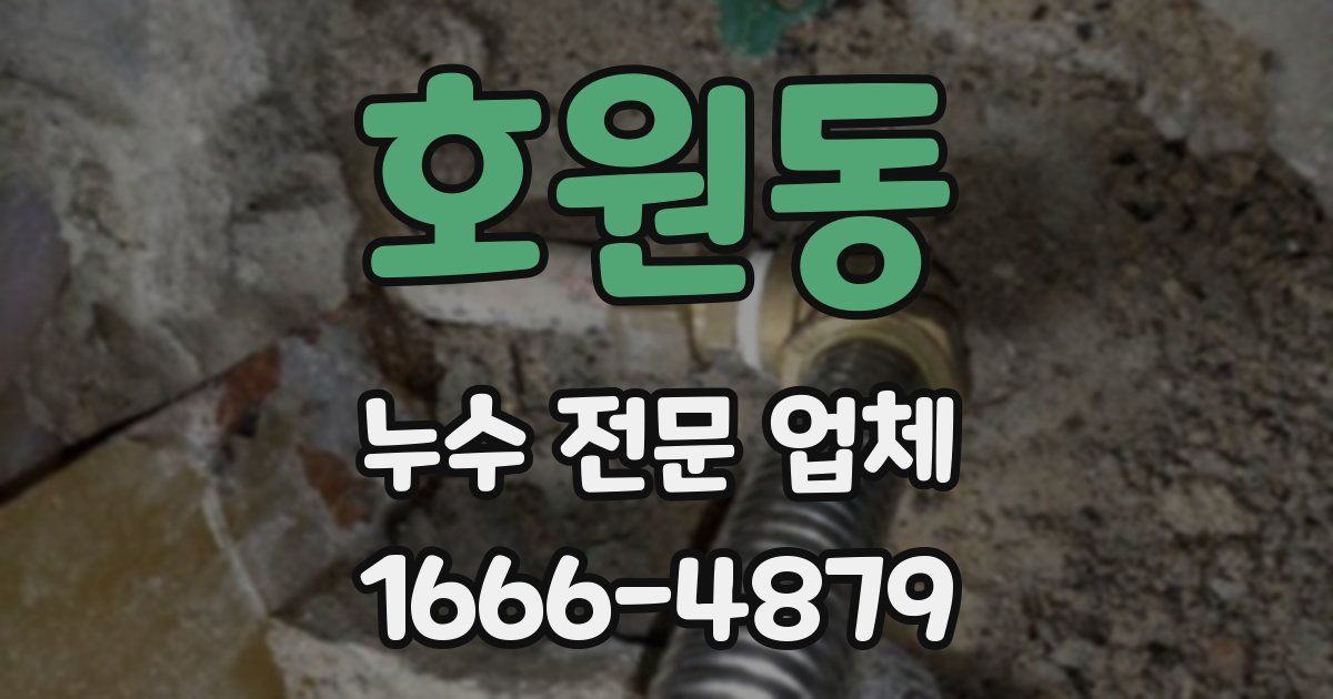 호원동 누수 전문 업체
