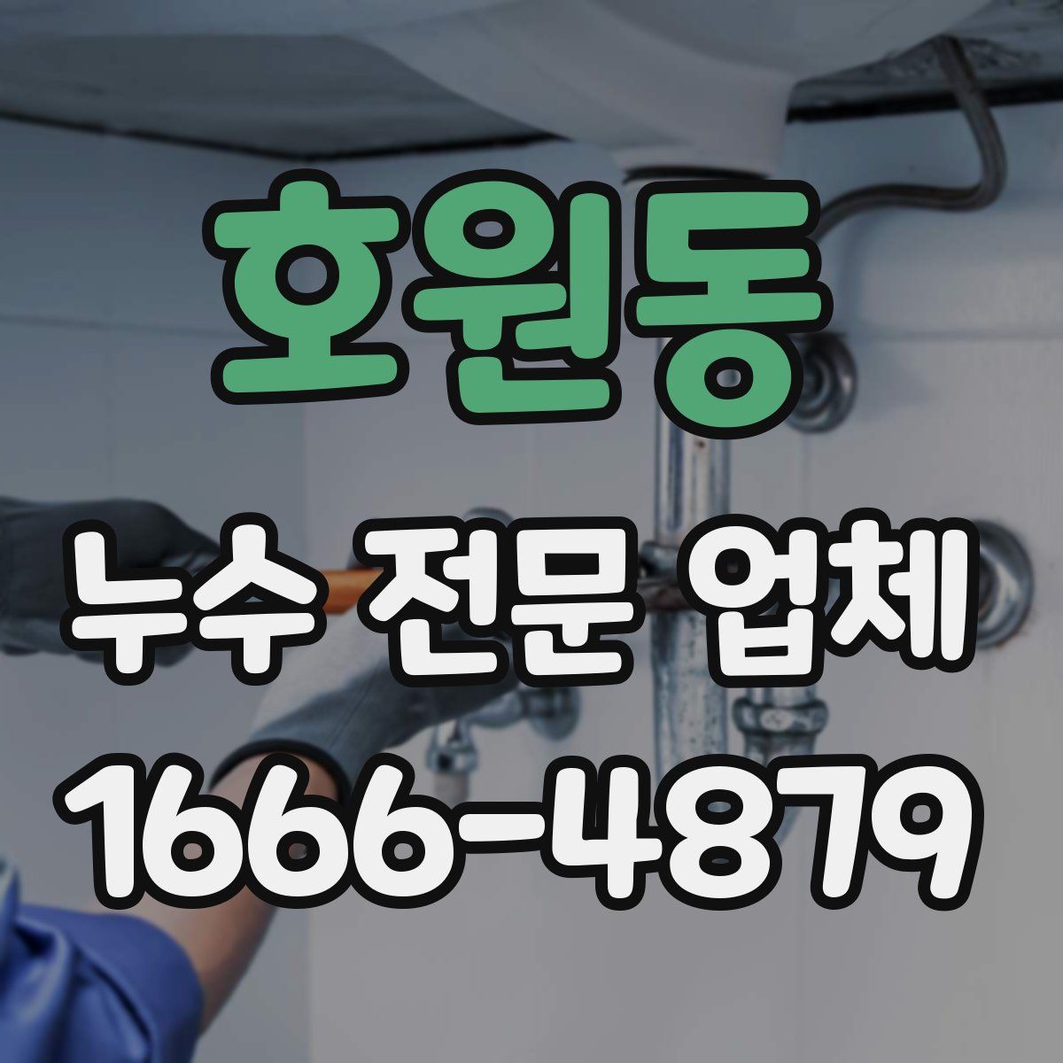 호원동 누수 전문 업체