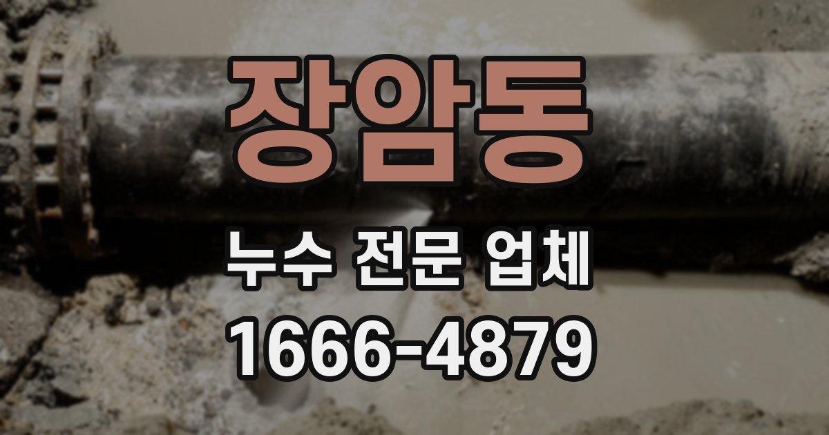 장암동 누수 전문 업체