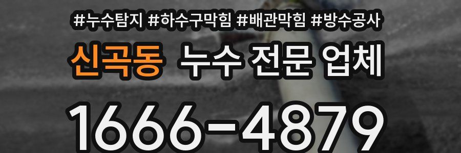 신곡동 누수 전문 업체