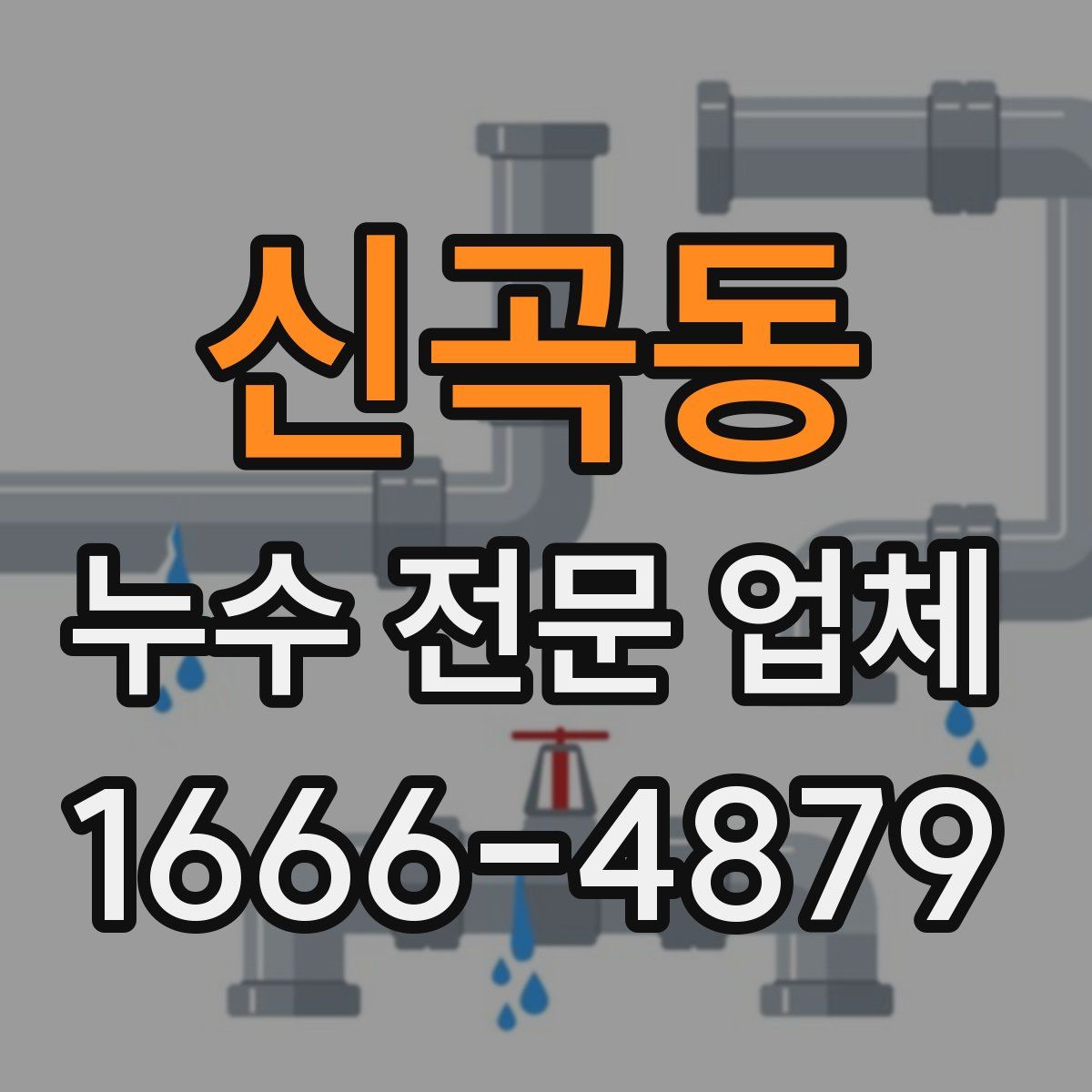신곡동 누수 전문 업체